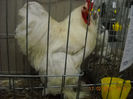 My pictures 211
