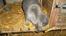 SAM_4049