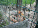 P1400604
