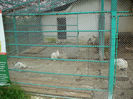 P1400609
