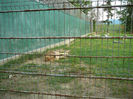P1400619