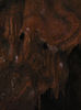 P1320369