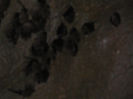 P1320372