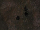 P1320376