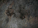 P1320401