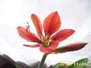 Picture 010