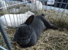 DSC03690
