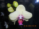 DSCN2654