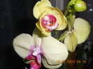 DSCN2662