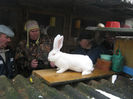 feb_franz_ 062