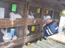 feb_franz_ 039