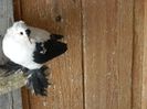 DSCN0457