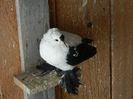 DSCN0458