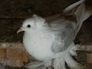 DSCN0459