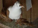 DSCN0461