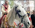 ● Baraat ●