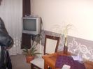 DSCN6739_2217