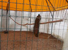 DSCN6769_2247