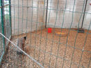 DSCN6771_2249