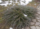 DSCN6776_2254