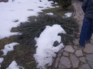 DSCN6777_2255