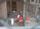 DSCN6783_2261
