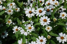 20120825_035