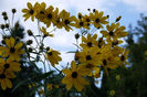 20120825_044