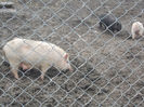 DSCN6792_2270