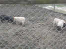 DSCN6793_2271
