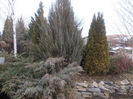 DSCN6795_2273