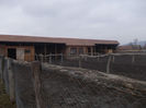 DSCN6796_2274