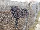 DSCN6797_2275