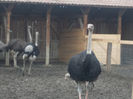 DSCN6807_2285