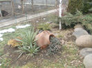 DSCN6825_2303