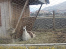 DSCN6827_2305