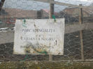 DSCN6831_2309