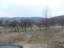 DSCN6876_2354