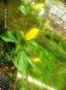 octombrie 2012 048
