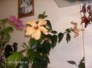 octombrie 1 2012 115