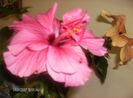 octombrie 1 2012 118