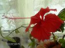 octombrie 1 2012 122