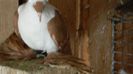 DSCN0449