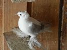 DSCN0466
