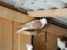 DSCN0475