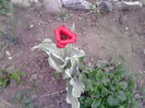 P130412_19.31_[02]