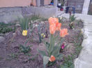 P130412_19.33_[01]