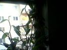 Photo-0006