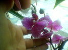Photo-0042