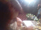 Fotografii-0351
